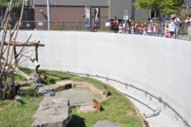 札幌市円山動物園　来夏めどに新たな運営方向性で基本構想