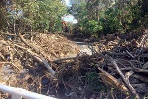 台風18号の被害を受け大量の流木が発生した伊達市内の紋別川