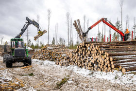 木材など38品目の輸入禁止　日本政府がロシアに追加制裁