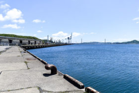 洋上風力拠点化へ　市が室蘭港崎守埠頭の代替施設確保要望