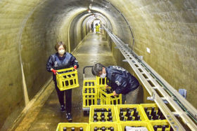チーズと日本酒の貯蔵・熟成　札内川ダムのリムトンネルで
