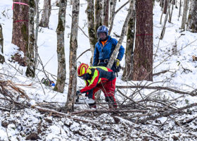 北森学院生が高野林業でインターン　伐倒や集積作業体験